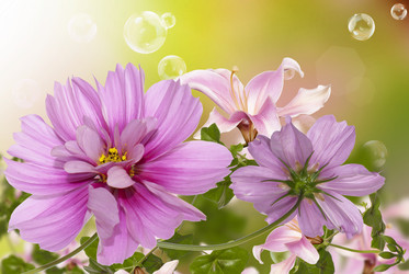 Similar image 8453853