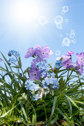 Similar image 8453854