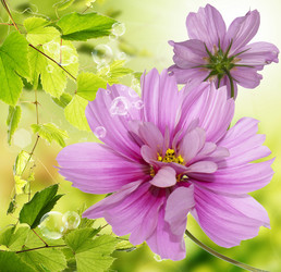 Similar image 8453855