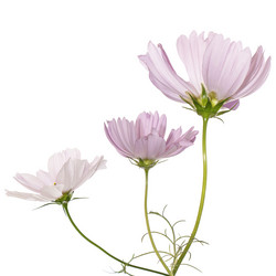 Similar image 8453856