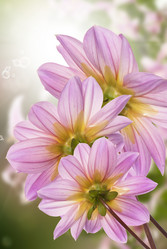 Similar image 8453858