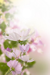 Similar image 8453859