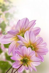 Similar image 8453861