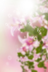 Similar image 8453862