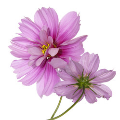 Similar image 8453865