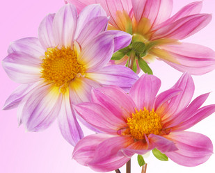 Similar image 8453898