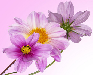 Similar image 8453900