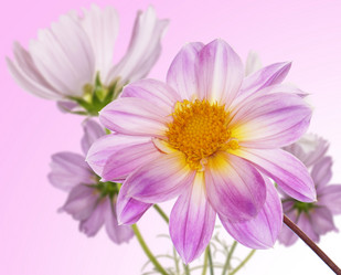 Similar image 8453901