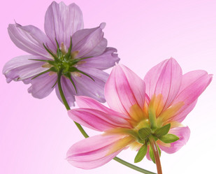 Similar image 8453902