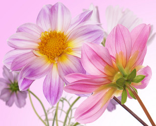 Similar image 8453903