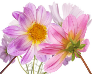 Similar image 8453904