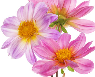 Similar image 8453907