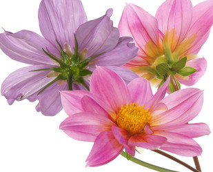 Similar image 8453908