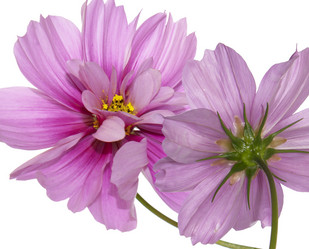 Similar image 8453909