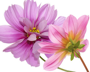 Similar image 8453910