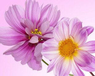 Similar image 8453911