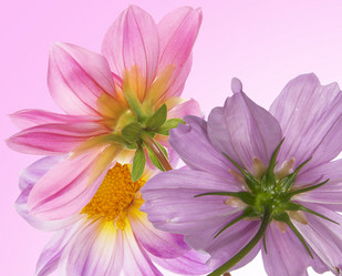 Similar image 8453913