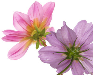 Similar image 8453914