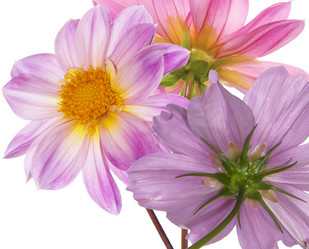 Similar image 8453915