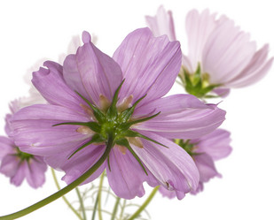 Similar image 8453916