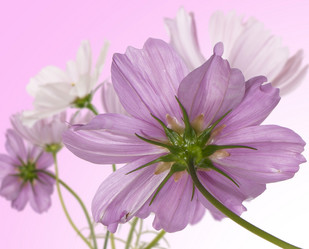 Similar image 8453918