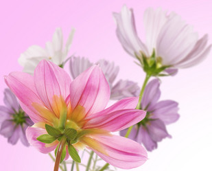 Similar image 8453919