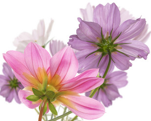 Similar image 8453920