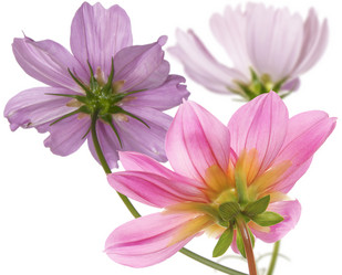 Similar image 8453921