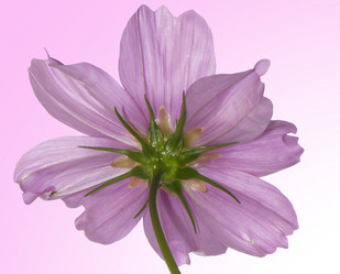 Similar image 8453922