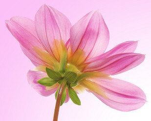 Similar image 8453923