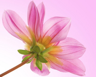 Similar image 8453925