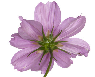 Similar image 8453926