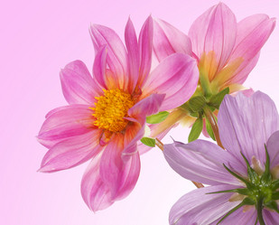 Similar image 8453928