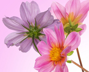 Similar image 8453929