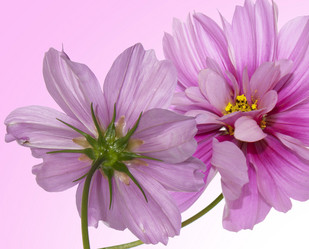 Similar image 8453930