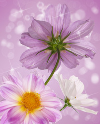 Similar image 8453931