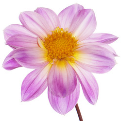 Similar image 8453967