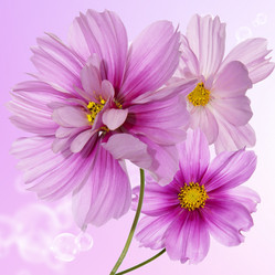 Similar image 8453969