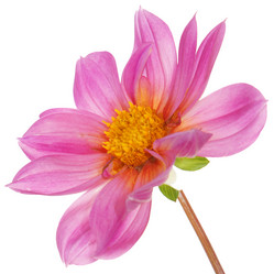 Similar image 8453971