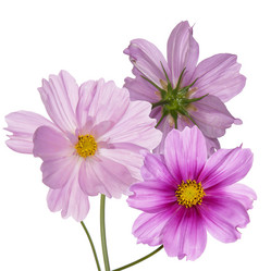 Similar image 8453972