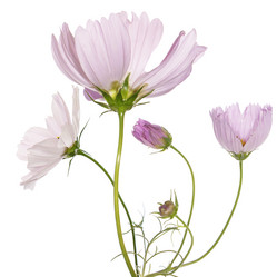 Similar image 8453973