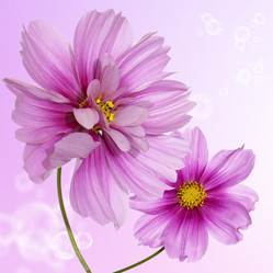 Similar image 8453974