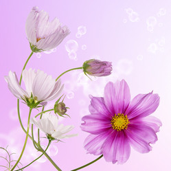 Similar image 8453975