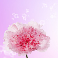 Similar image 8453976