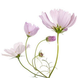 Similar image 8453978