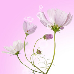 Similar image 8453979