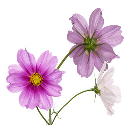 Similar image 8453981