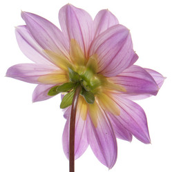 Similar image 8453984