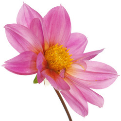 Similar image 8453985