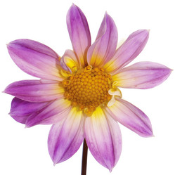 Similar image 8453986